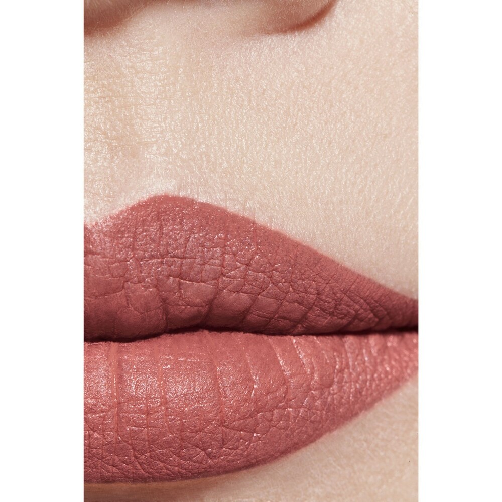 LA BARRA DE LABIOS ATERCIOPELADA LUMINOSA